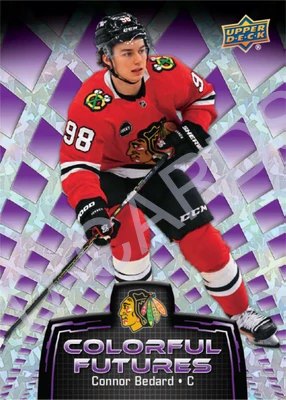 NHL GB #033 - Chicago Blackhawks
