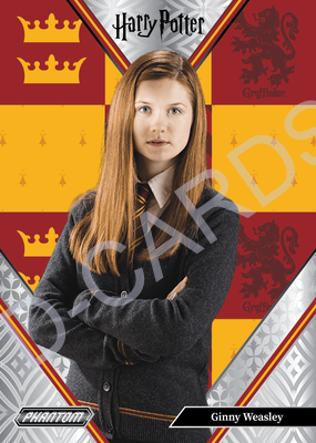 2024 - Harry Potter Phantom Trading Cards Box